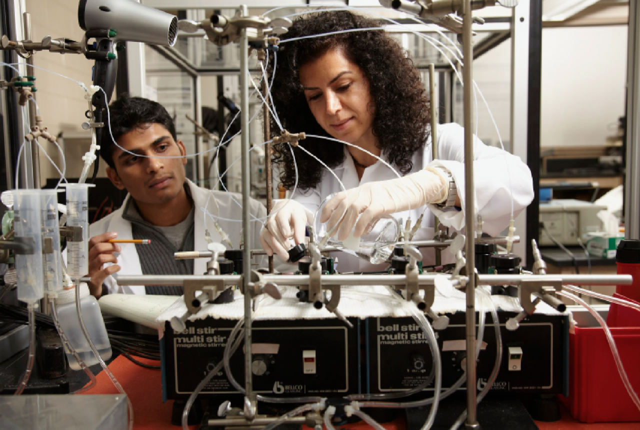 biomedical engineering phd programs nyc